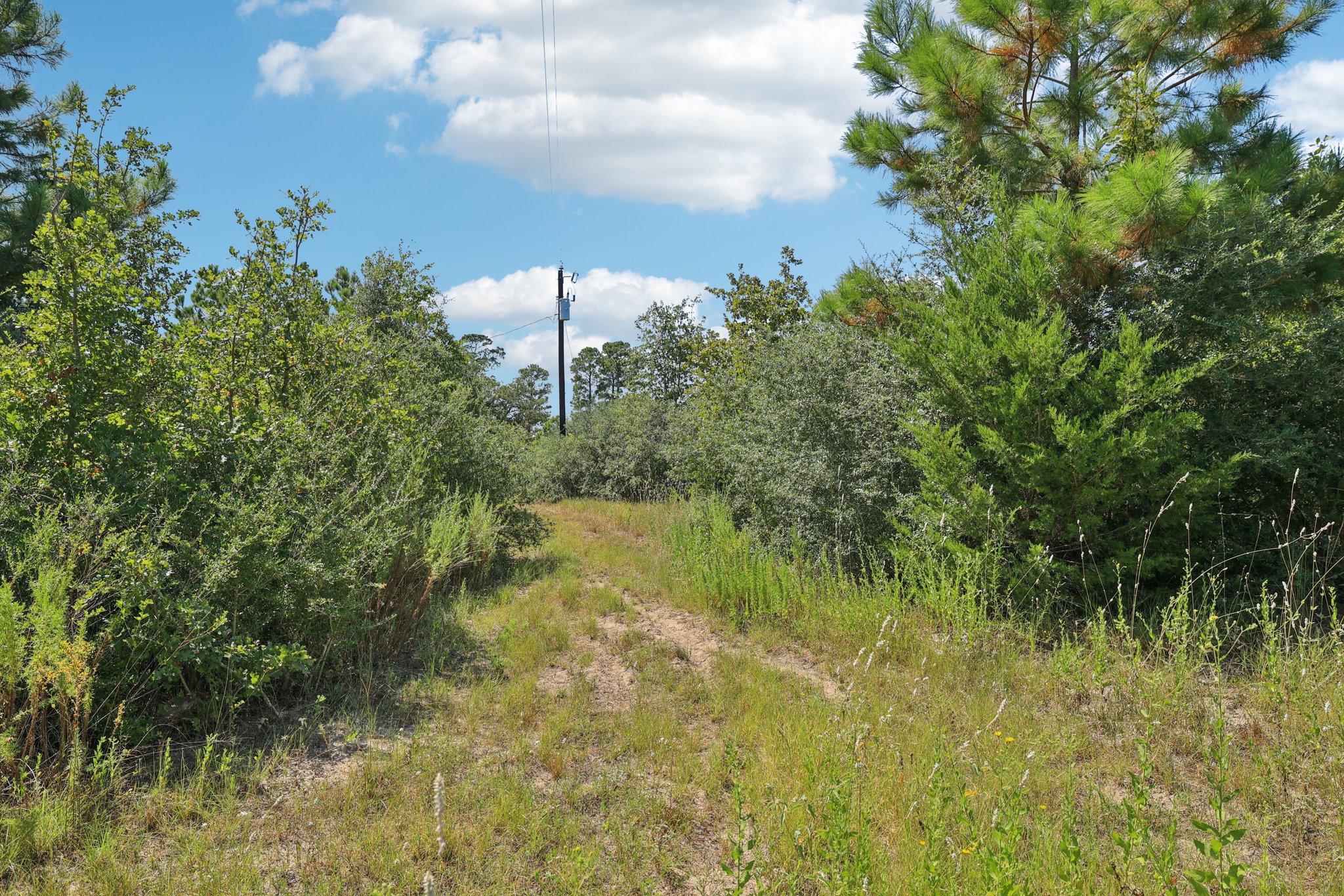 Rolling Pines Dr-S0909-051.jpg
