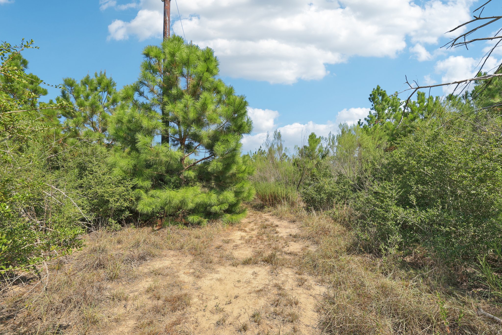 Rolling Pines Dr-S0909-059.jpg