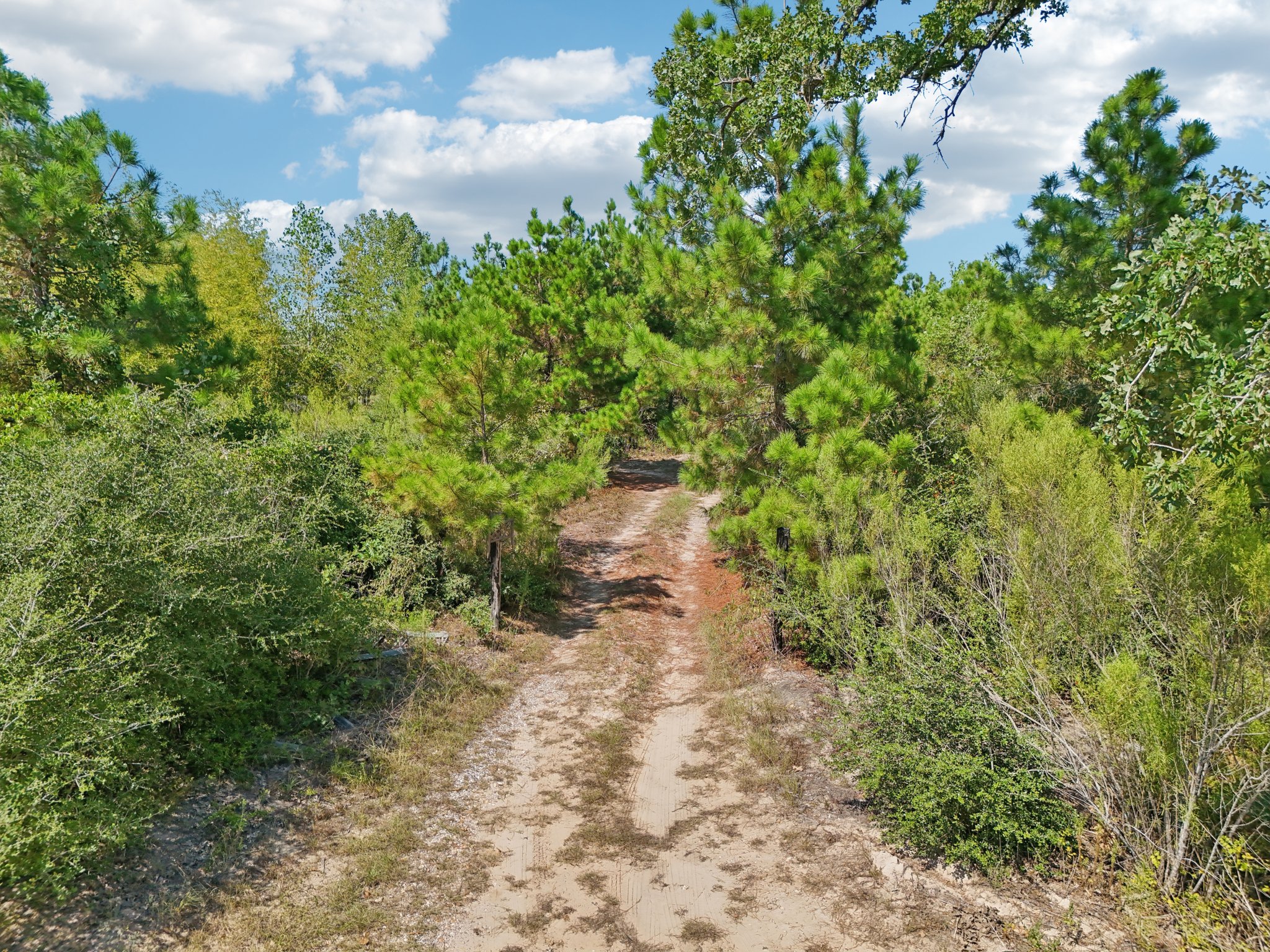 Rolling Pines Dr-S0909-081.jpg