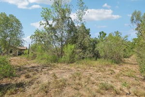 Rolling Pines Dr-S0909-046.jpg