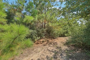 Rolling Pines Dr-S0909-049.jpg