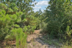 Rolling Pines Dr-S0909-052.jpg
