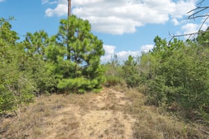 Rolling Pines Dr-S0909-059.jpg