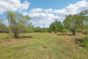Rolling Pines Dr-S0909-062.jpg