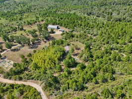 Rolling Pines Dr-S0909-067.jpg
