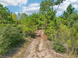 Rolling Pines Dr-S0909-081.jpg