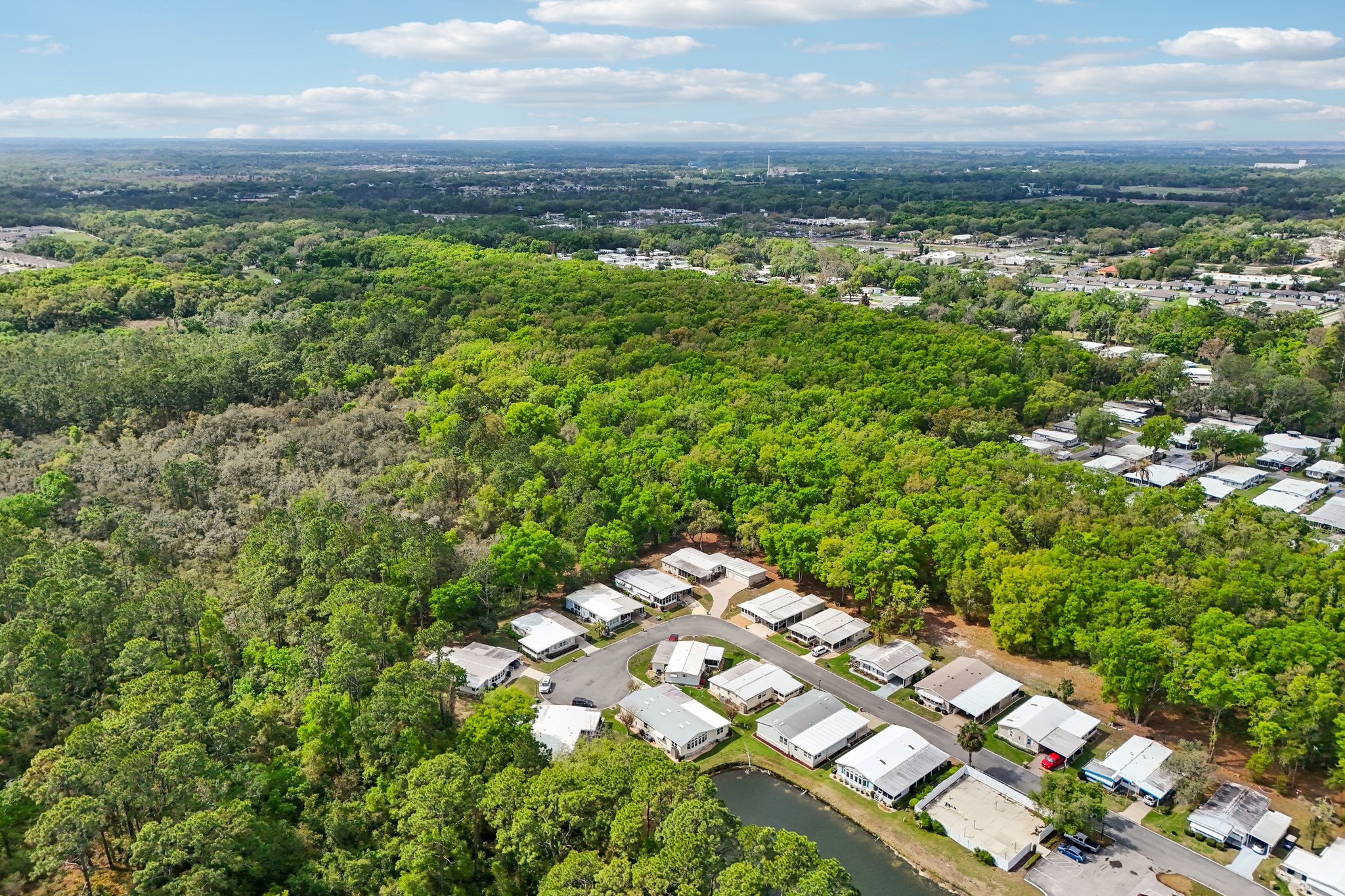 Tamarisk Way-S1703-053.jpg