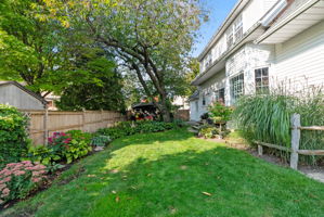  Photo 44