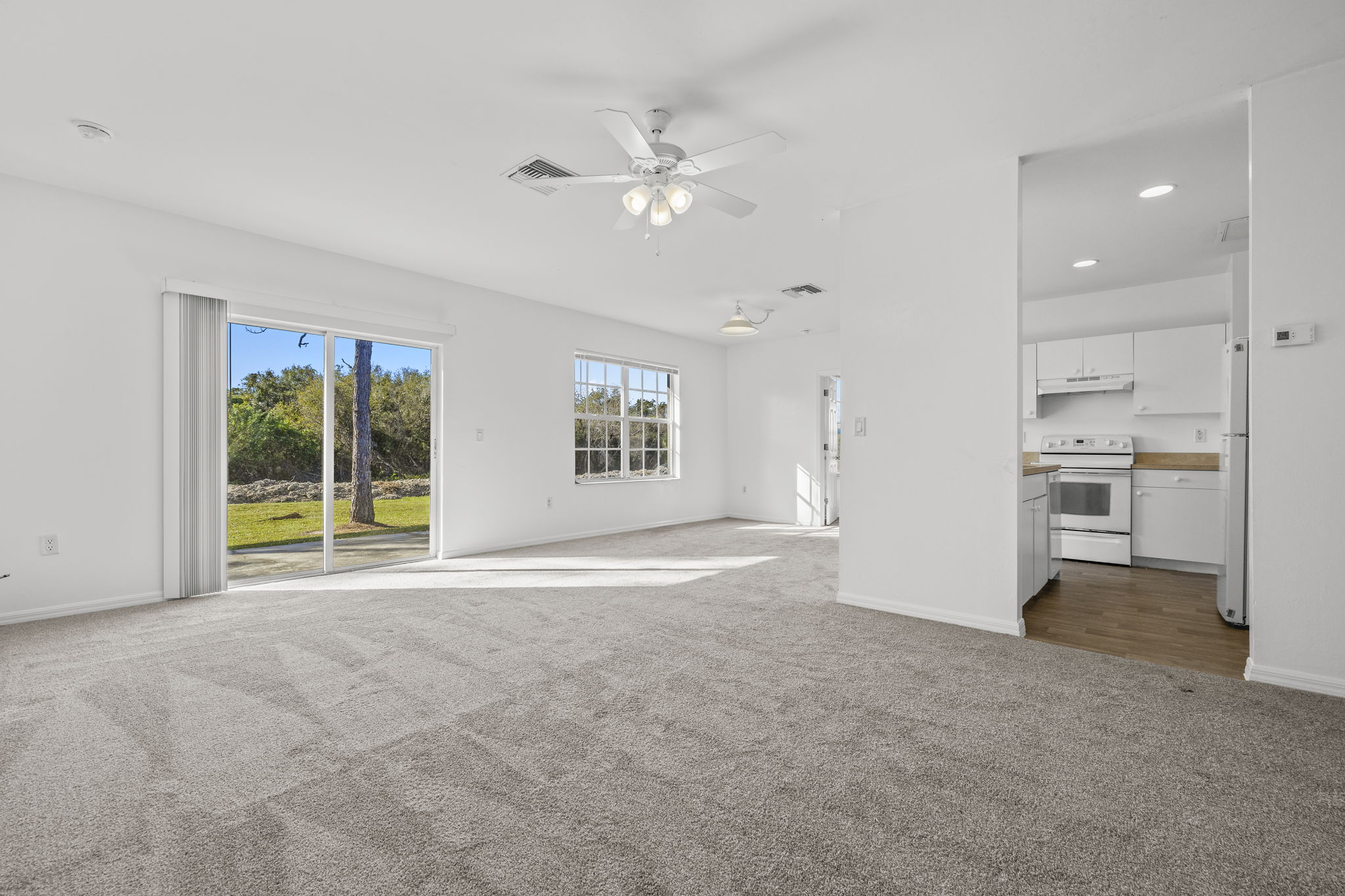Living Room (2)