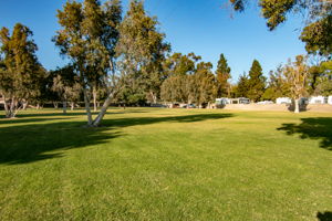  Photo 52