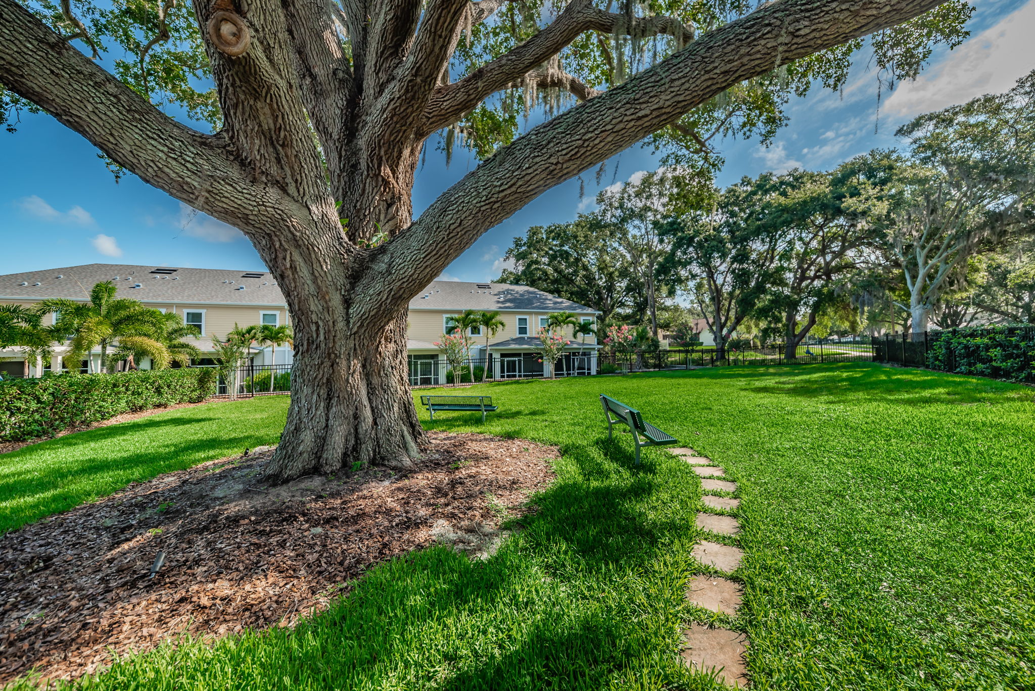 9-Aqua Solis Dog Park