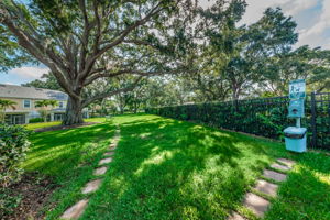 8-Aqua Solis Dog Park