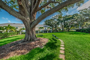 9-Aqua Solis Dog Park