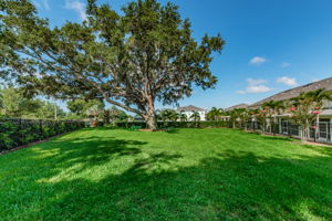 10-Aqua Solis Dog Park