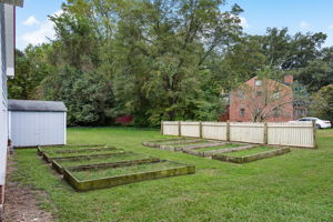 50-Vegetable Garden