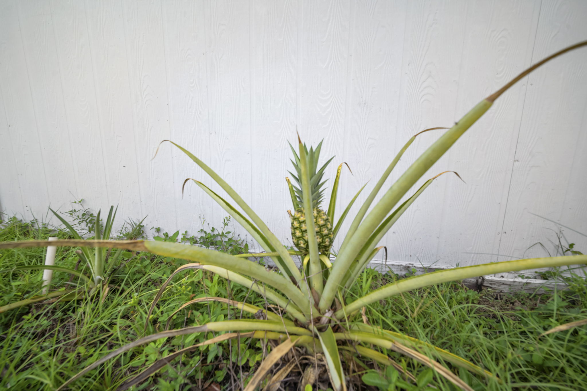  Photo 48