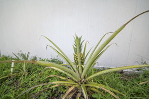  Photo 47