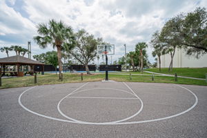 Park49