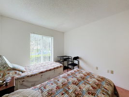  Photo 37