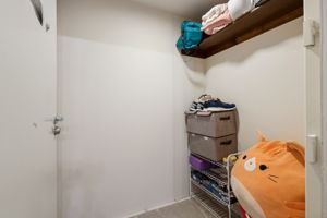  Photo 50