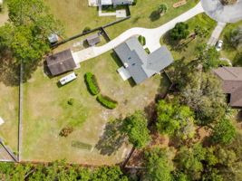 Ariel View