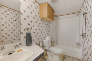  Photo 48