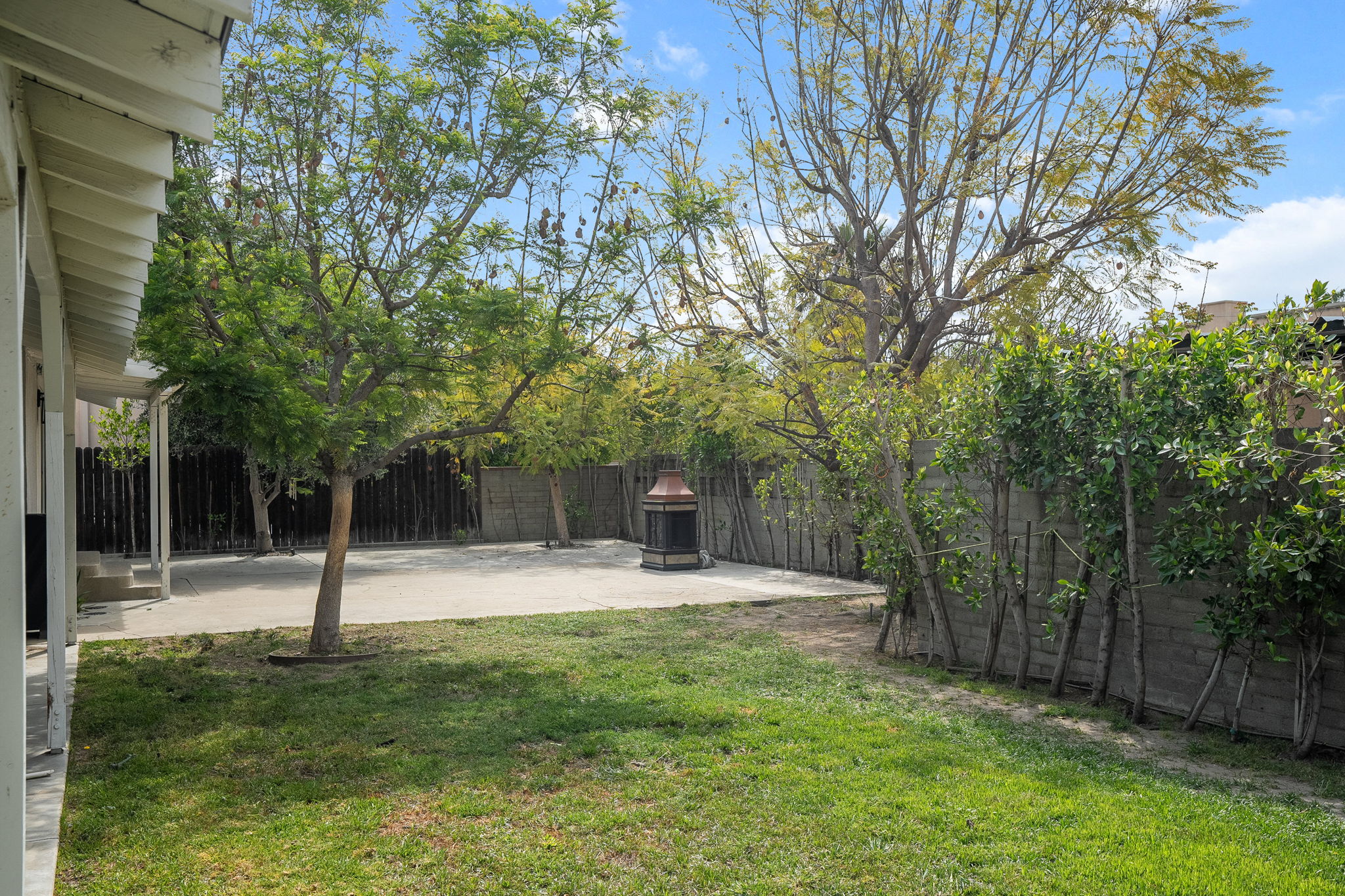 Backyard