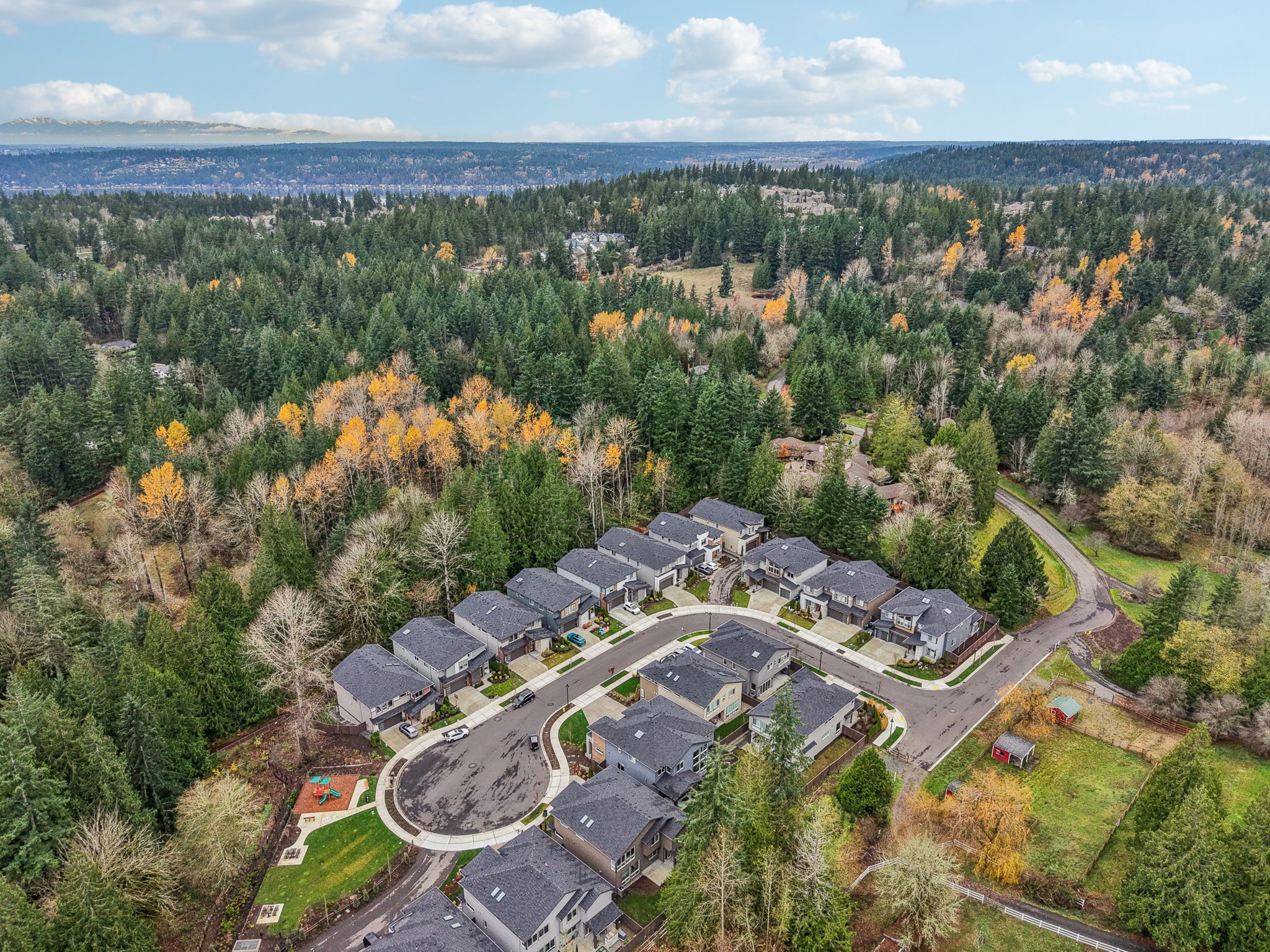 222nd Ct SE-S0112-014.jpg