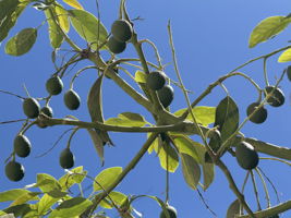  Photo 47