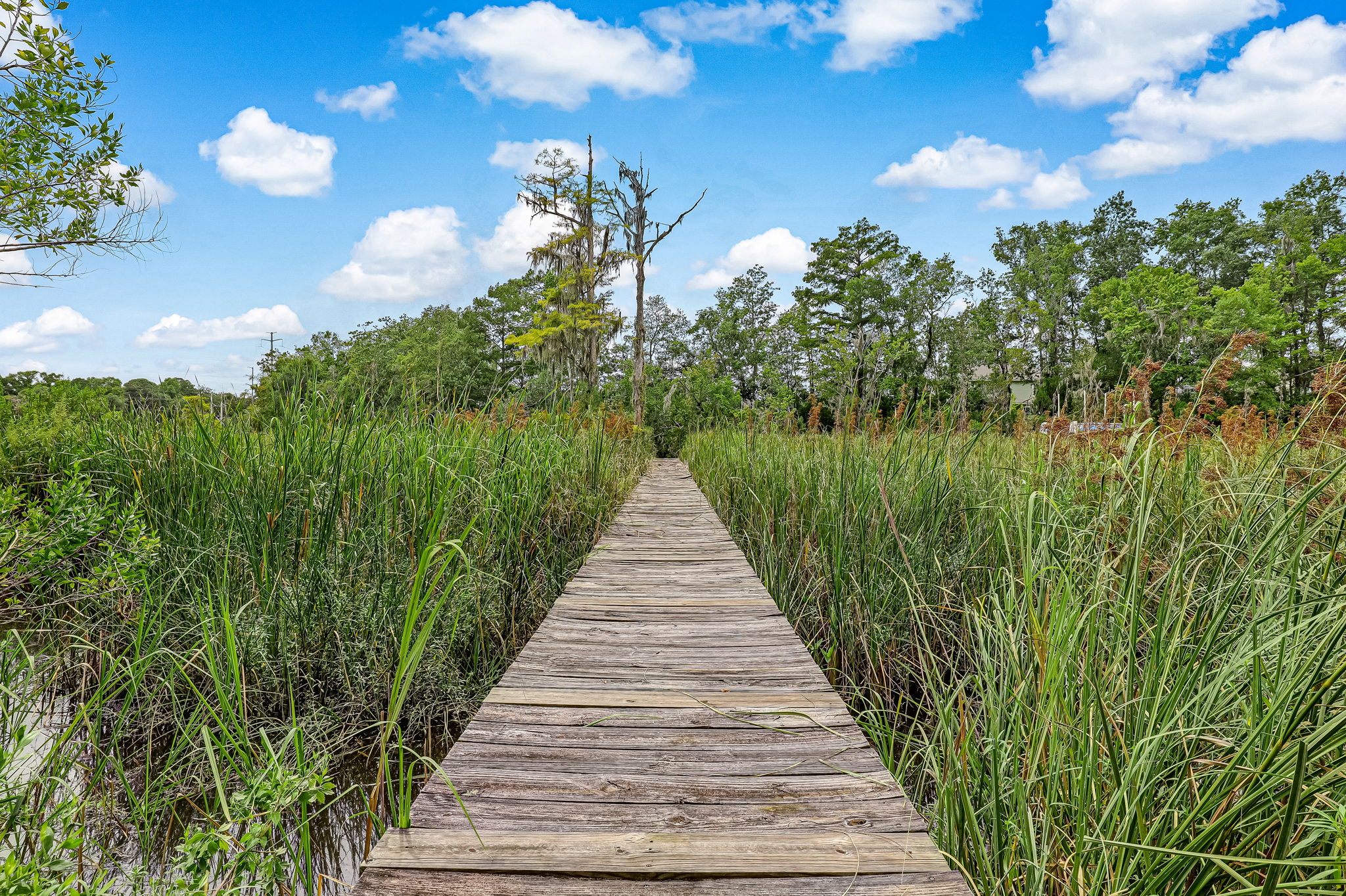Boardwalk