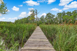 Boardwalk