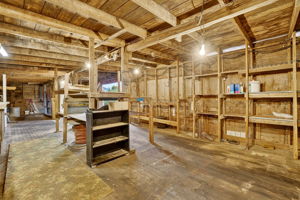  Photo 49