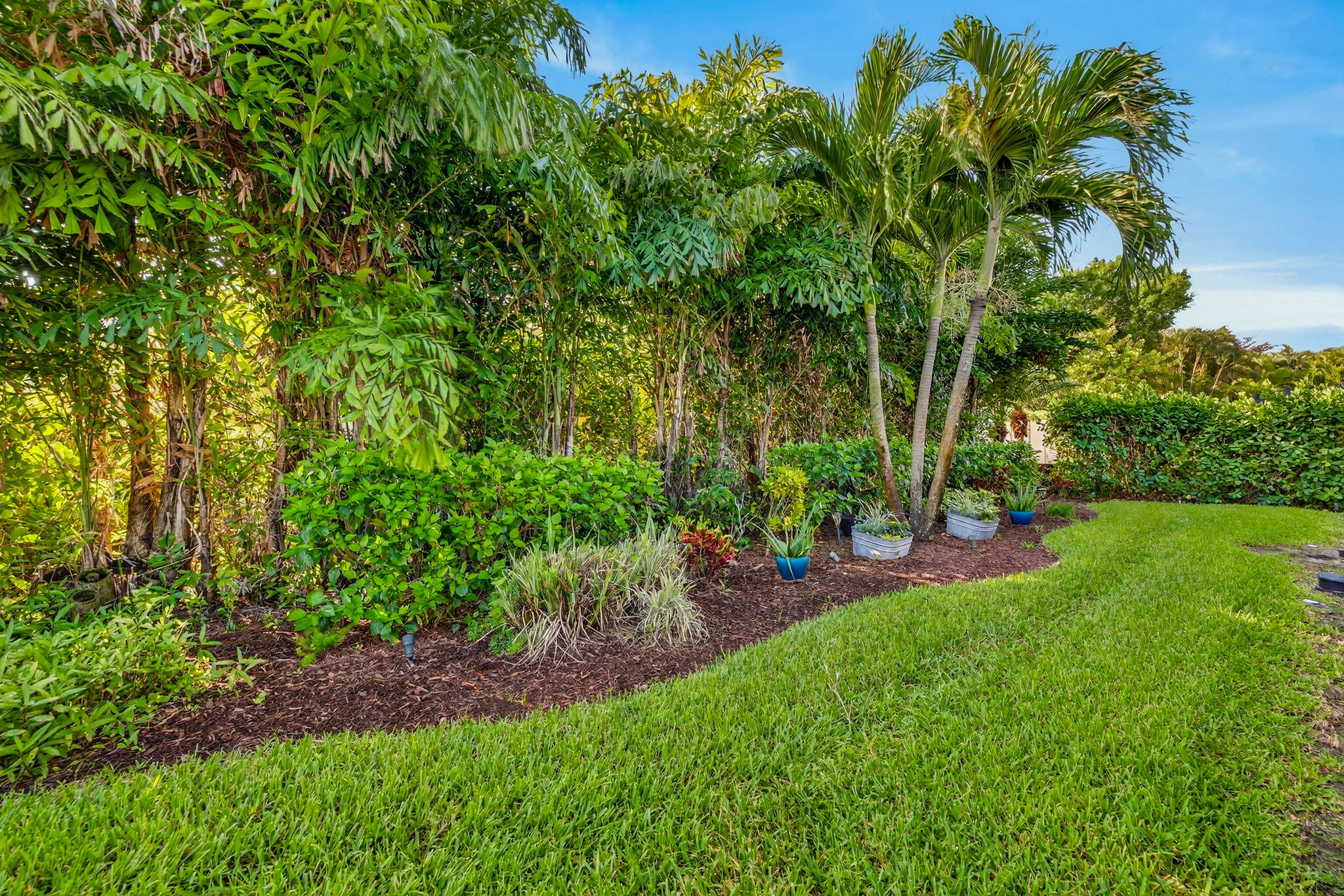 Rear Exterior 1 of 4