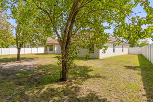 Back of Home