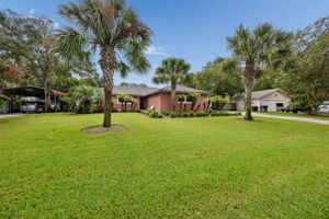 Front Yard