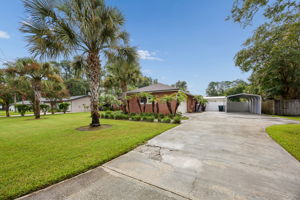 Front Yard