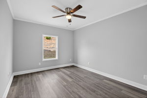 mppmedia1226bloomsburyln21