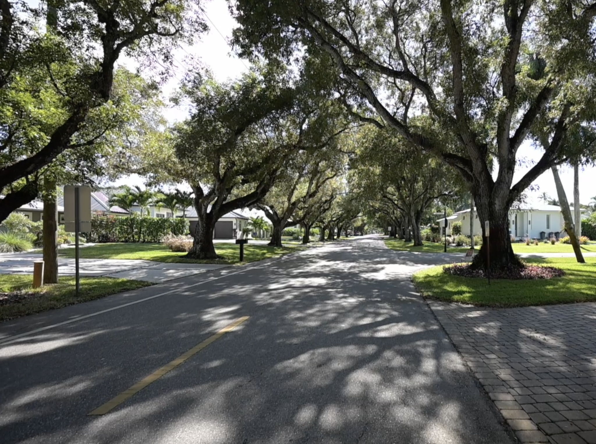 Canopy Tree-Lined Streets of Lake Park Neighborhood