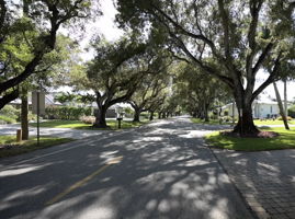 Canopy Tree-Lined Streets of Lake Park Neighborhood