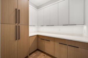 Walk-in pantry featuring additional custom cabinetry for elevated storage and organization.