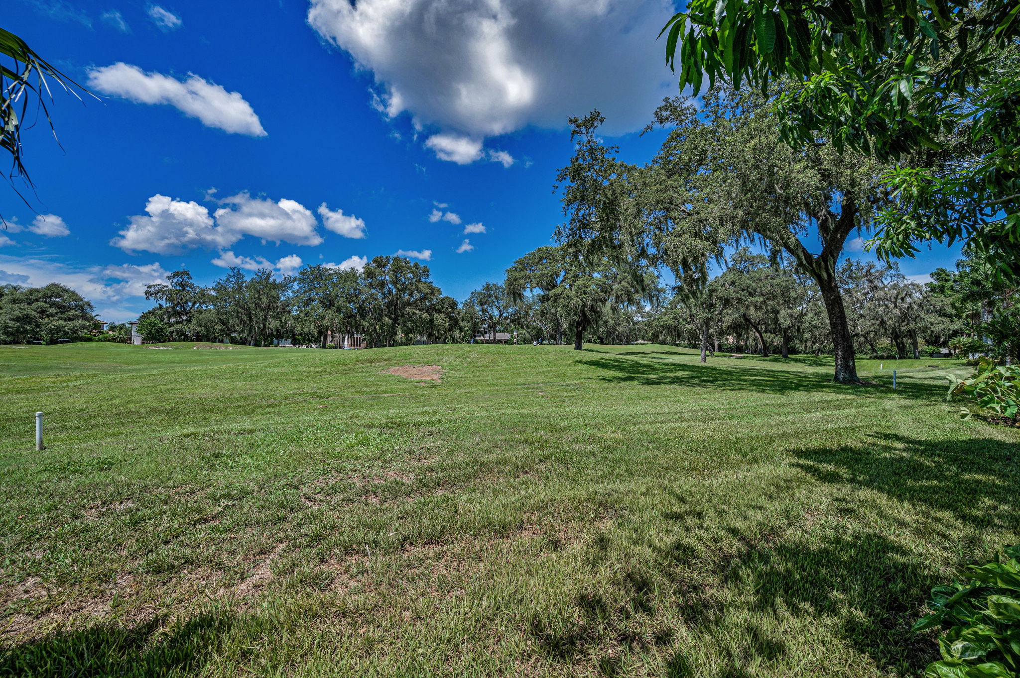 Backyard4