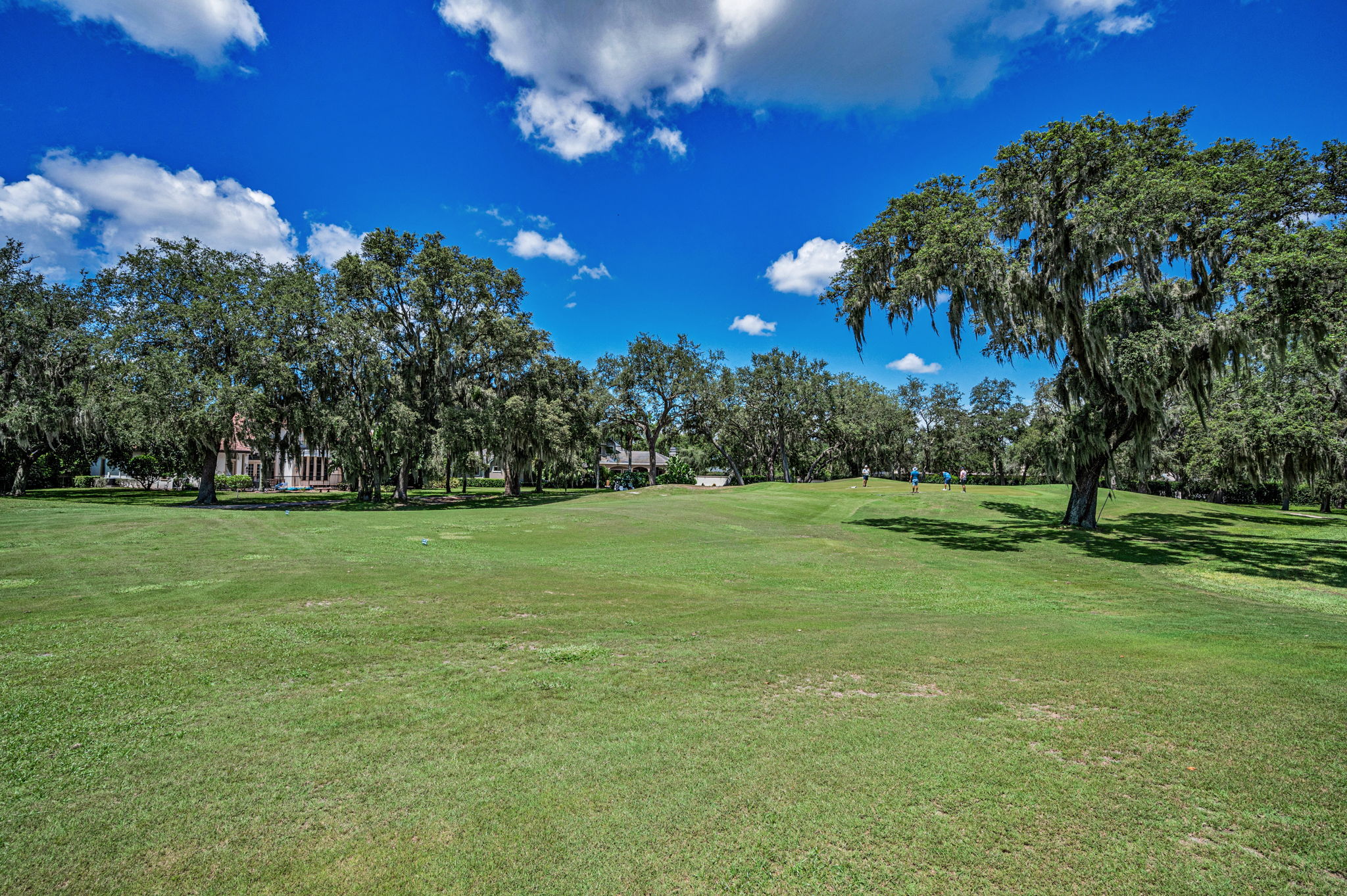 Golf Course2
