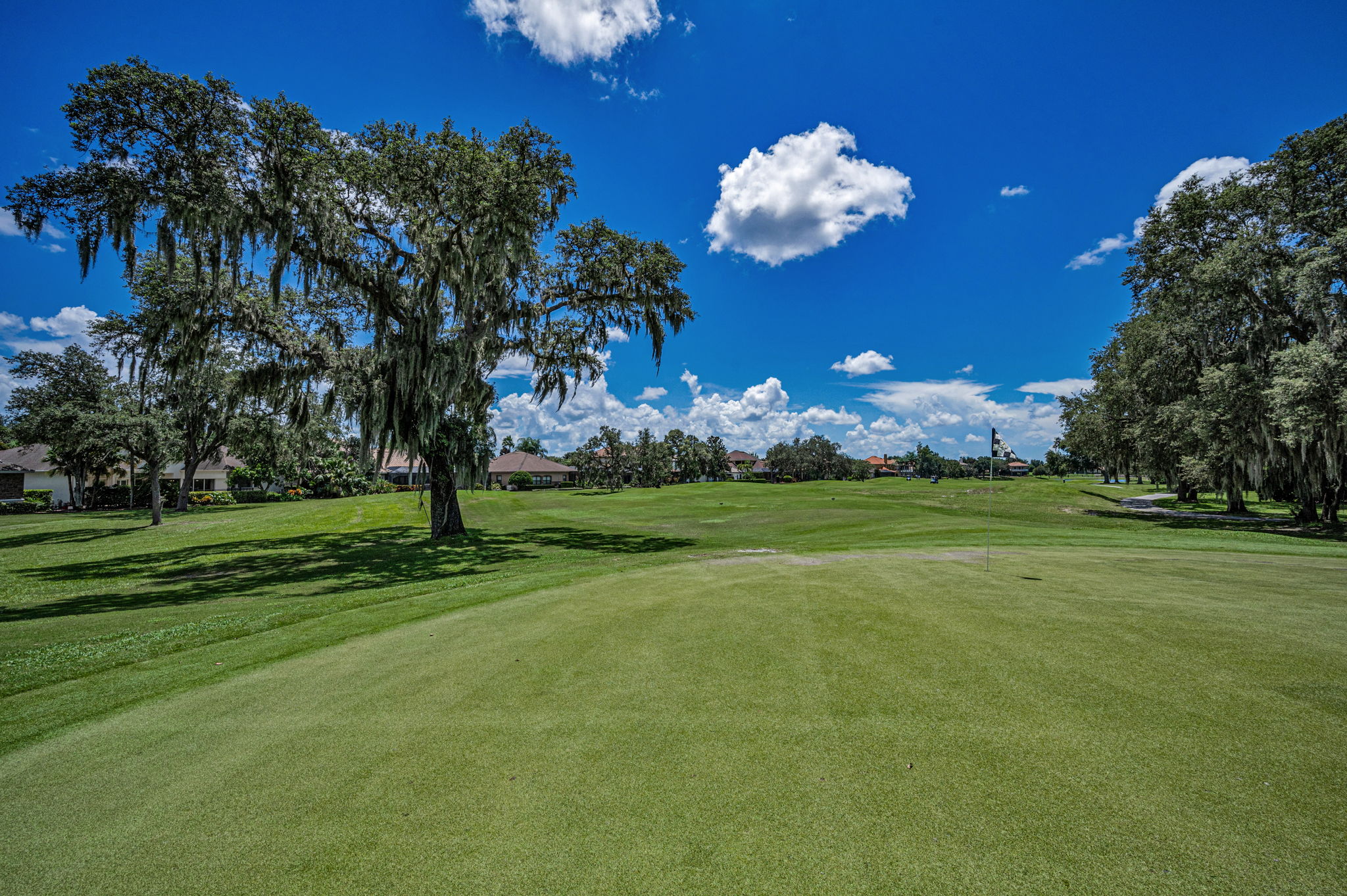 Golf Course6