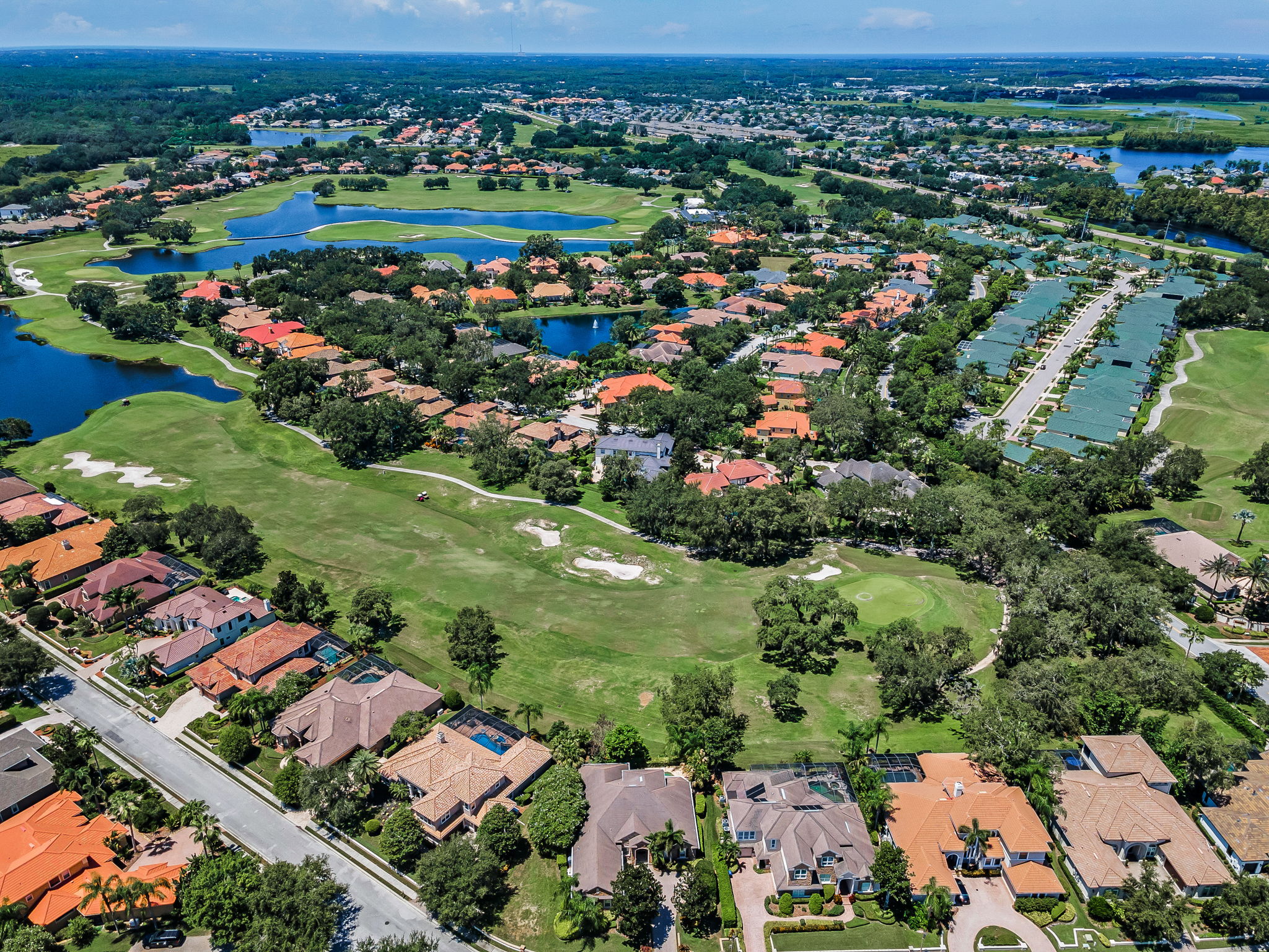 Aerial (6)