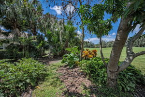 Backyard1