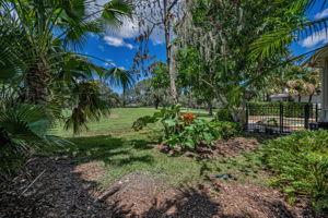 Backyard2