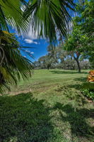 Backyard3