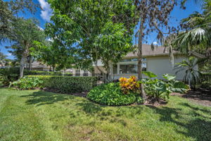 Backyard5