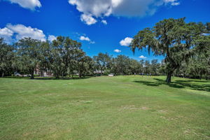 Golf Course2