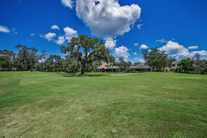 Golf Course4